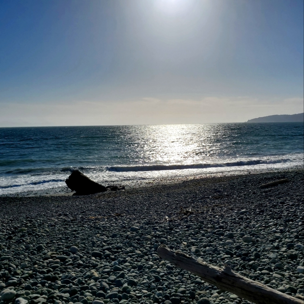 Meet your Posher, Paul